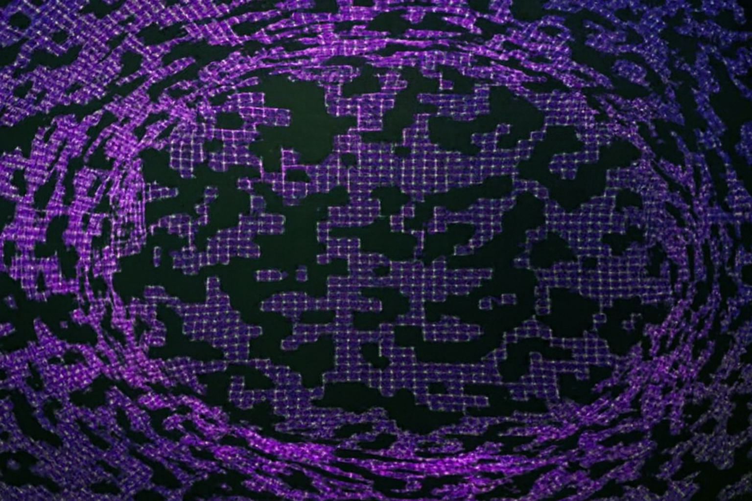 About Apricot Studios